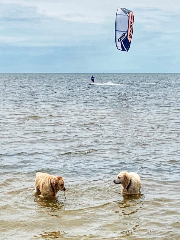 jpeg-image-a127272cc8ab-1