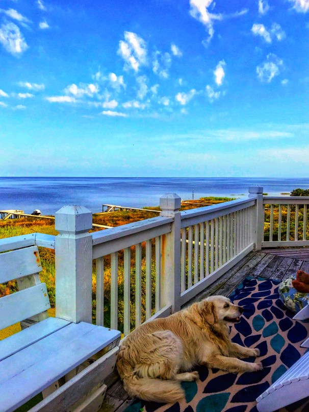 0B019F61-9E81-4500-9AEE-BED0781E6914