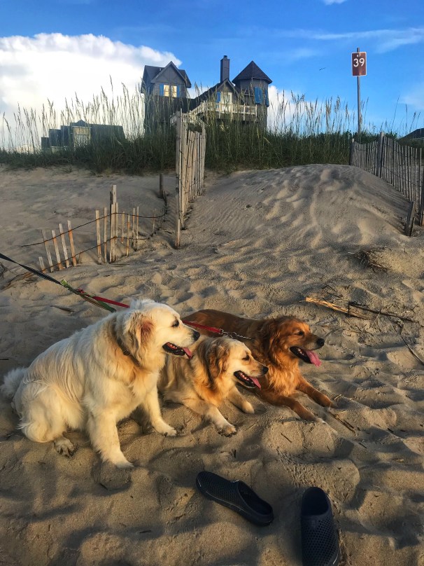 236D329F-7460-47C1-9269-1AC19D622C1B