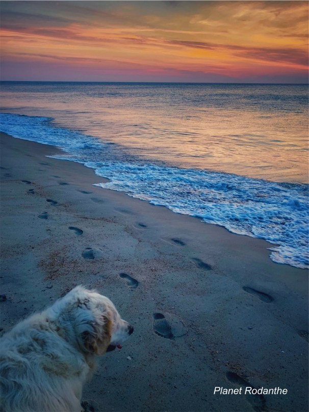 545E93D2-52BC-437E-AC15-5ACEE19B2845