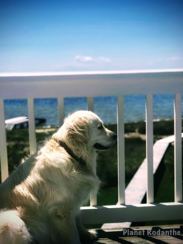 6B737995-B9BD-4CBC-AB83-84BE1BDCAE4F