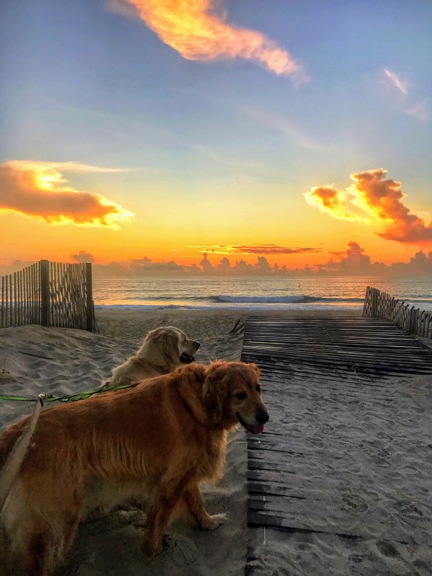 7ADFC40C-D6D3-4EA7-A288-A2F4AB1728E7