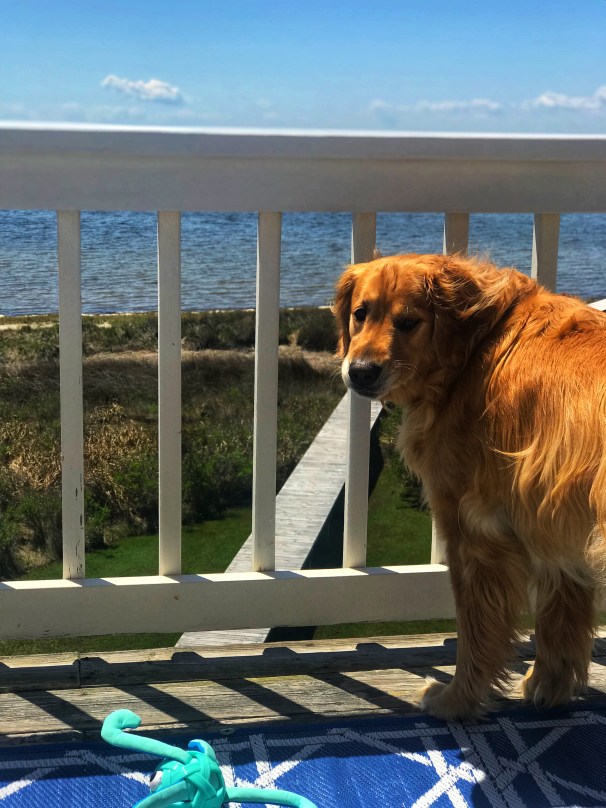 9A08EC57-BCE8-4697-B0BC-01516E487C22