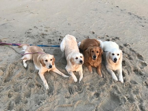 DBC15FDF-7772-4F73-BB40-7855D7976E37