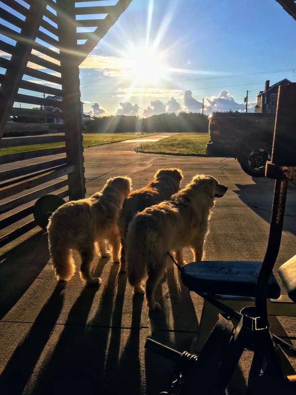 E3054C53-F459-4D0A-A84B-3F12E83C4B36